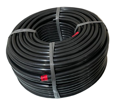 mangueira removebg preview